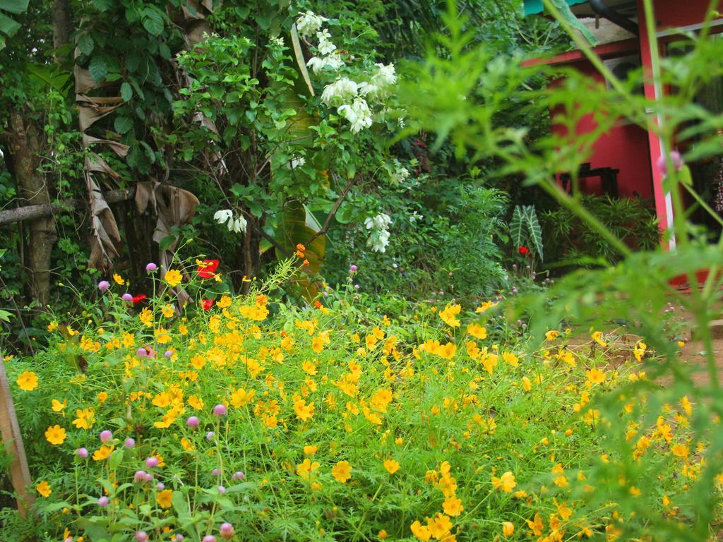 Little Pink House Apartamento Mirissa Habitación foto